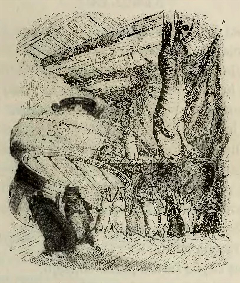 Fábulas de Samaniego (1882) (page 165 crop)
