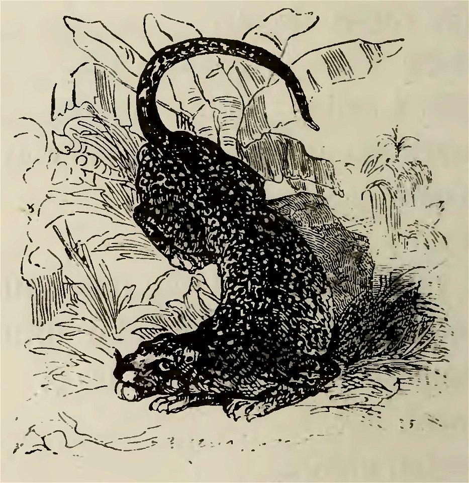 Fábulas de Samaniego (1882) (page 30 crop)