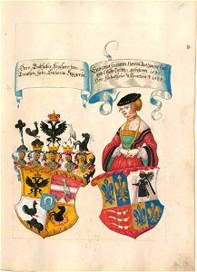 Fugger Ehrenbuch 133