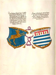 Fugger Ehrenbuch 359