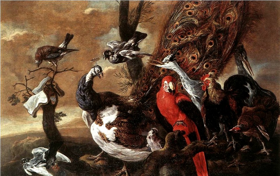 Fyt, Jan - Bird Concert - 17th c.