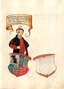 Fugger Ehrenbuch 169