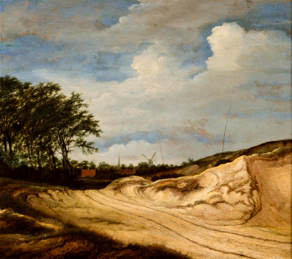 Guillam Dubois - Landscape with the Dune - MNK XII-A-614 - National Museum Kraków