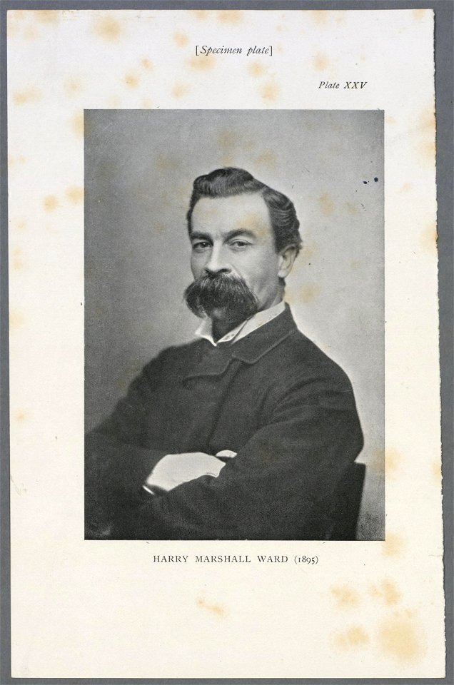 Harry Marshall Ward (1895) (5349027)