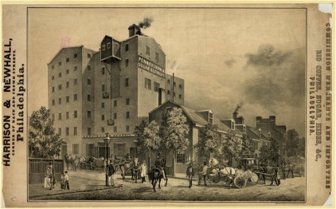 Harrison & Newhall...Philadelphia, Rio coffee, sugar, hides, etc., Philadelphia LCCN2003677677