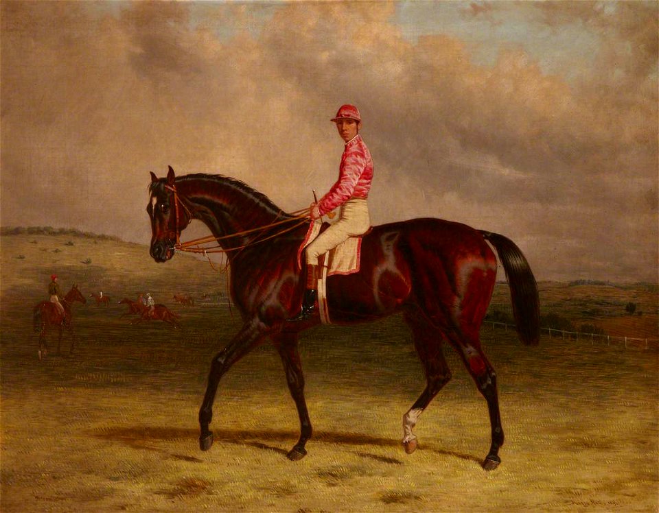 Harry Hall (c.1814-1882) - 'Broomilaw' with Jockey Up on Epsom Downs, with Horses Being Exercised - 1219968 - National Trust