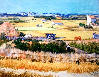 Harvest at La Creu - My Dream
