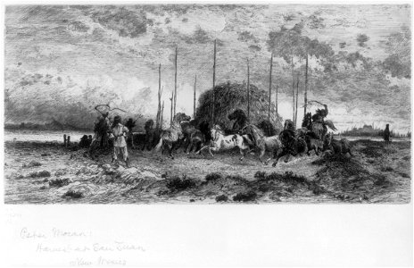 Harvest at San Juan, New Mexico) - PM LCCN98507328