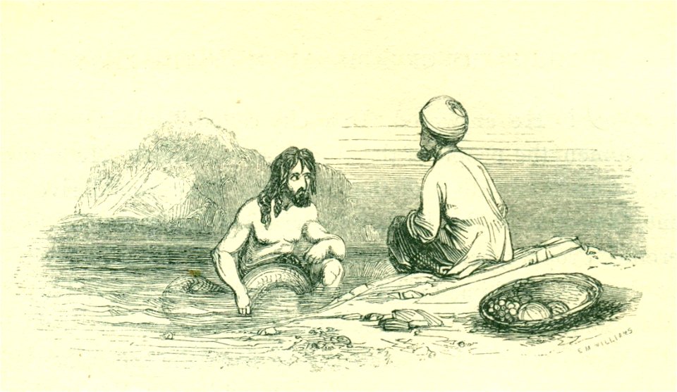 Harvey W, 1001 nights (14)
