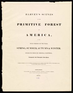 Harvey's scenes of the primitive forest of American, (...) LCCN2003664802. Free illustration for personal and commercial use.