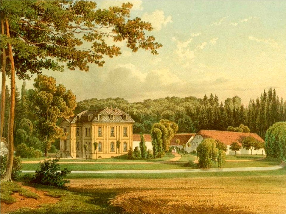 Haus Morsbroich Sammlung Duncker