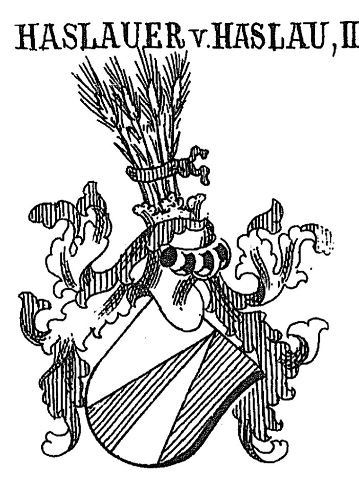 Haslauer von Haslau-Wappen II