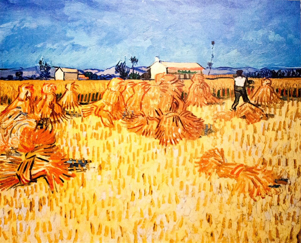 Harvest in Provence - My Dream