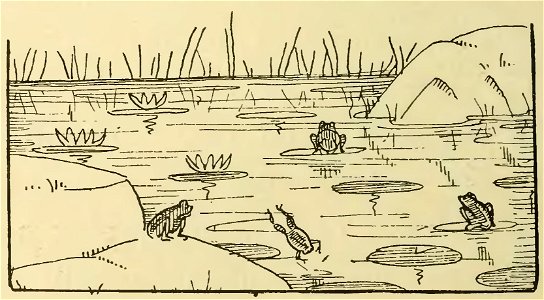 Havet - La Maison dans l’œil du chat, 1917 (page 64 crop)