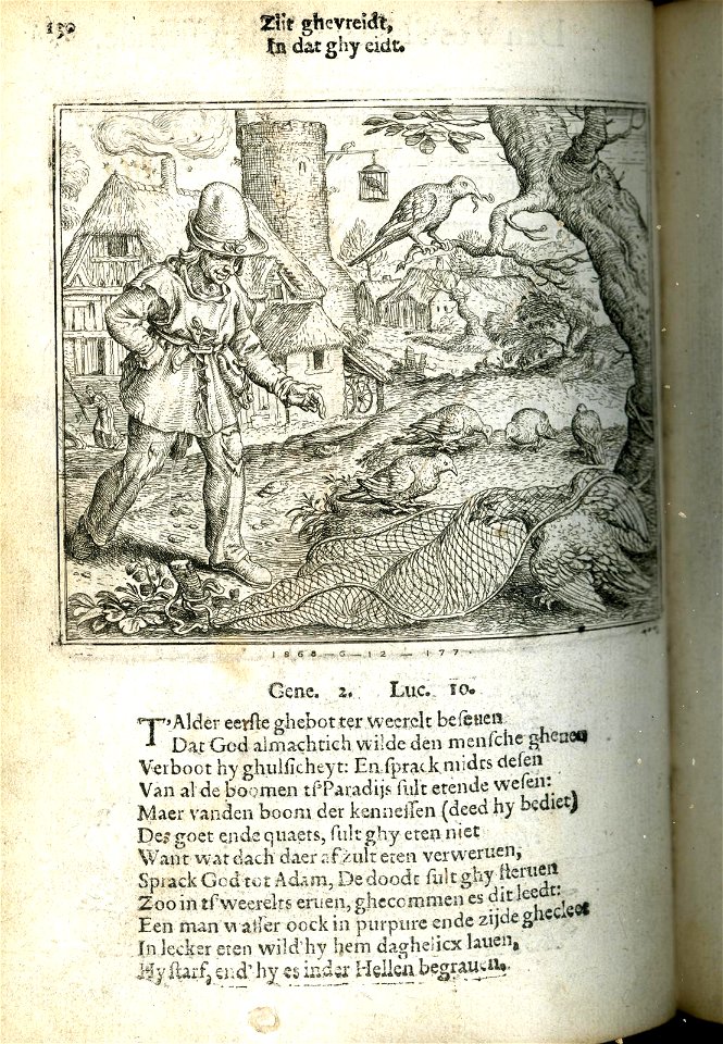Havick ende cockuut (BM 1868,0612.177)