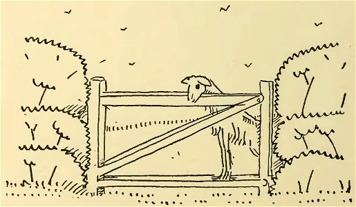 Havet - La Maison dans l’œil du chat, 1917 (page 158 crop)