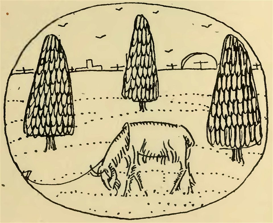 Havet - La Maison dans l’œil du chat, 1917 (page 135 crop)