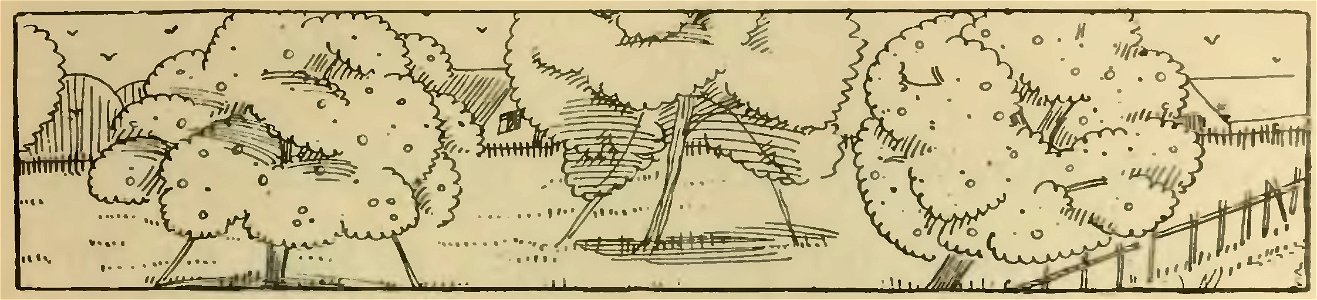 Havet - La Maison dans l’œil du chat, 1917 (page 169 crop)