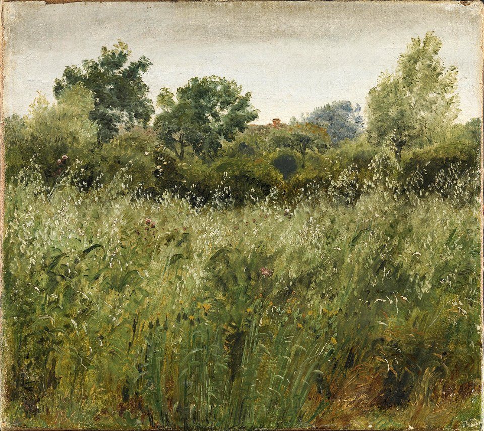 Havremark ved Vejby 1843
