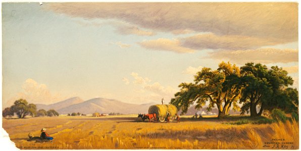 Harvesting near San Jose, California 2 (Boston Public Library)