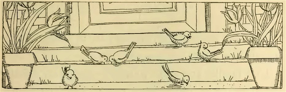 Havet - La Maison dans l’œil du chat, 1917 (page 89 crop)