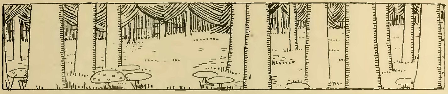 Havet - La Maison dans l’œil du chat, 1917 (page 55 crop)