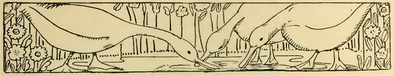 Havet - La Maison dans l’œil du chat, 1917 (page 49 crop)