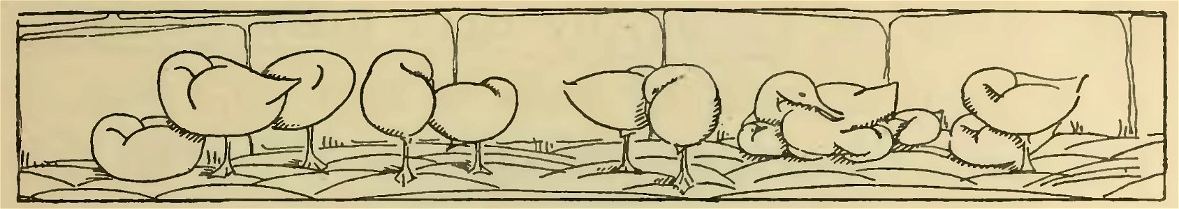 Havet - La Maison dans l’œil du chat, 1917 (page 105 crop)