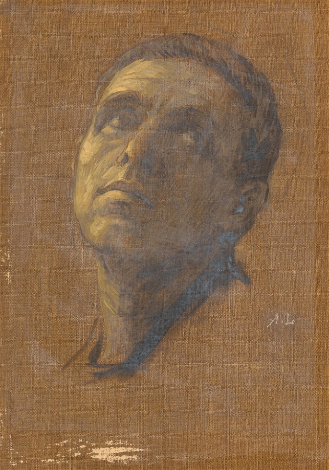 Head of a Man with Upturned Eyes C11851