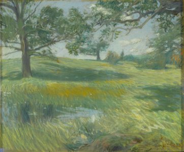 Brooklyn Museum - Meadows - Frederick Childe Hassam - overall