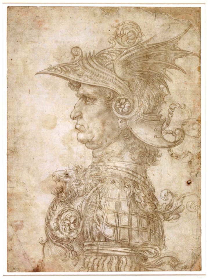 Head of a Warrior - Da Vinci 1