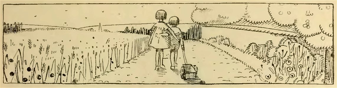 Havet - La Maison dans l’œil du chat, 1917 (page 79 crop)