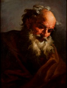 Head of an Old Man (Peter Brandel) - Nationalmuseum - 17201