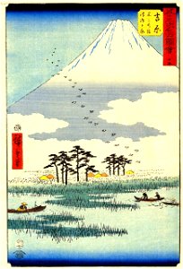 He Fuji Swamp and te floating water reeds of the Yoshiwara