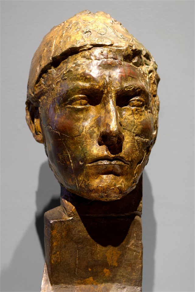 Head of Apollo Bourdelle DPMD 1980.19 n01