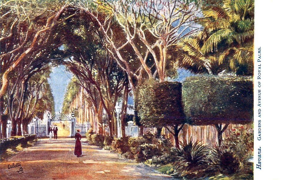 Havana - Botanical Gardens