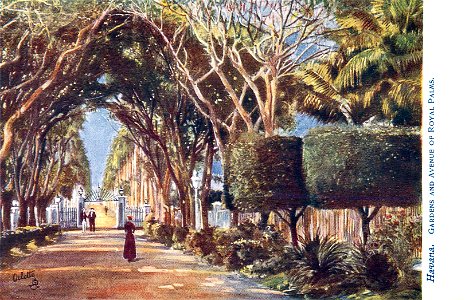Havana - Botanical Gardens. Free illustration for personal and commercial use.