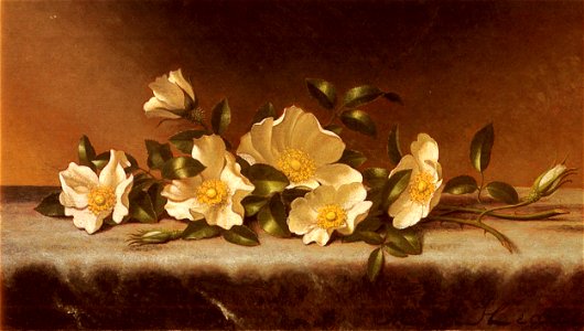 Heade Martin Johnson Cherokee Roses On A Light Gray Cloth