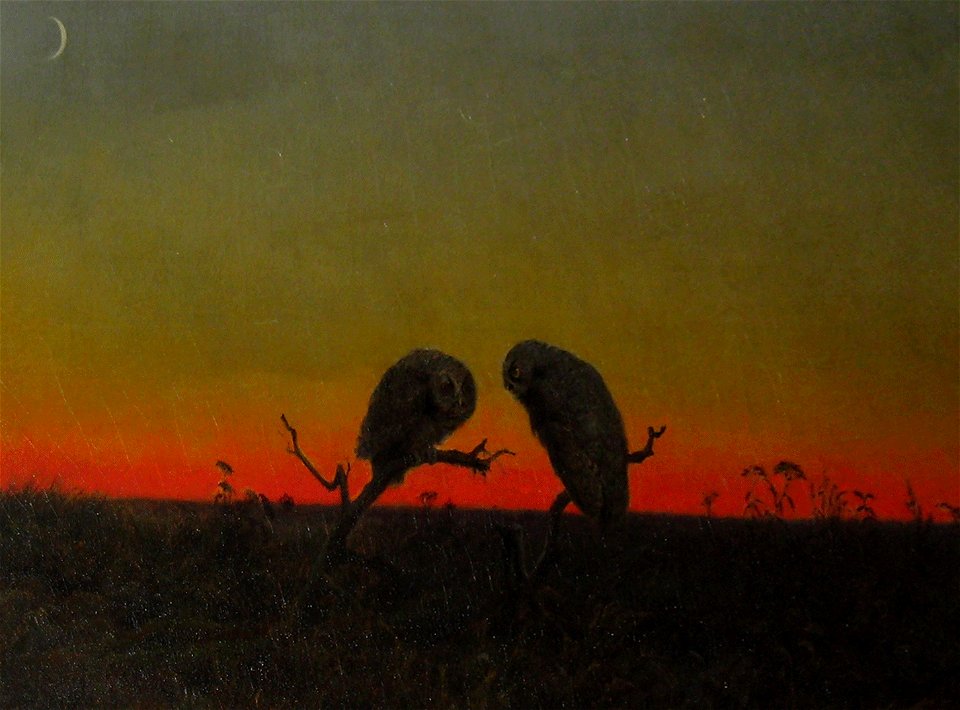 Martin Johnson Heade - Two Owls at Sunset