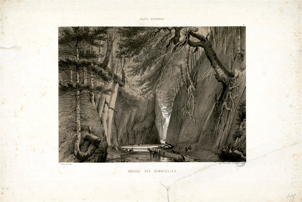 Haute-Garonne - Bocage des Demoiselles - Fonds Ancely - B315556101 A PARIS 2 004