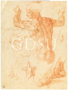 Heemskerck Maarten Jacobsz van - inv 2318 F