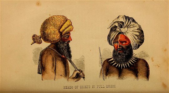 Heads of Chiefs in Full Dress