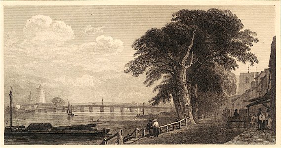 Heath Cheyne Walk