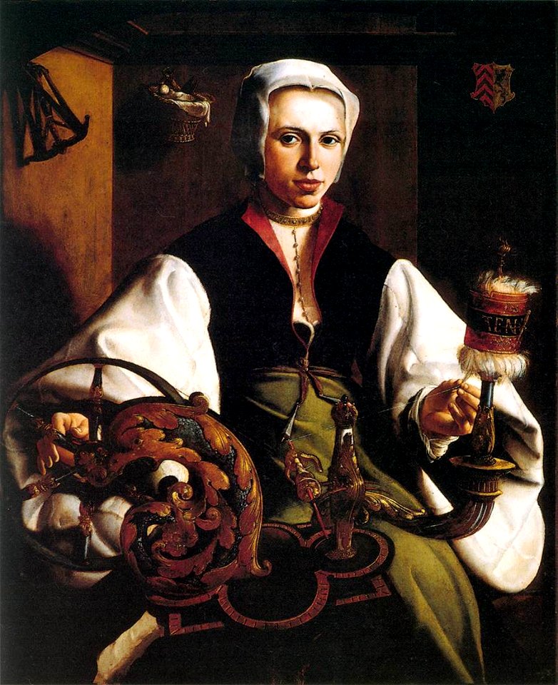 Maarten van Heemskerck 008