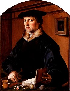 Maarten van Heemskerck - Portrait of Pieter Bicker Gerritsz. - WGA11296