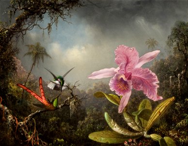Orchid with Two Hummingbirds 1871. Free illustration for personal and commercial use.