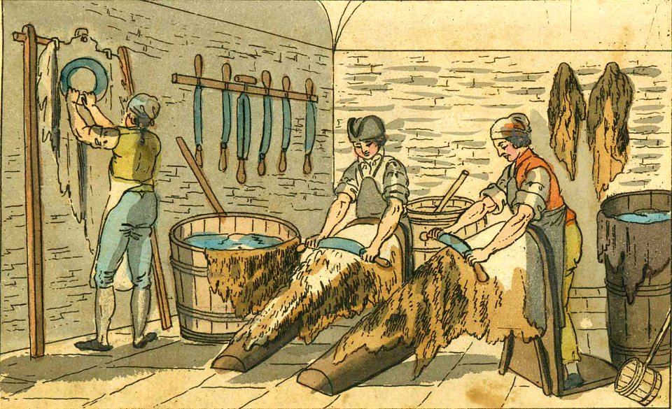 Hehl Gewerbkunde c1820 Gerber