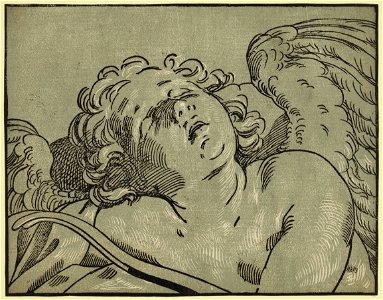 Head of Cupid LCCN2008675428