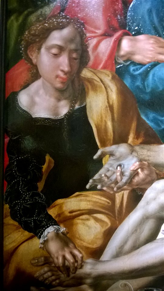 Heemskerck lamentation WP 20161201 064