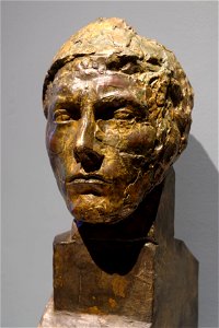 Head of Apollo Bourdelle DPMD 1980.19 n03